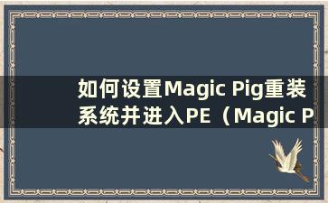 如何设置Magic Pig重装系统并进入PE（Magic Pig一键重装系统教程）